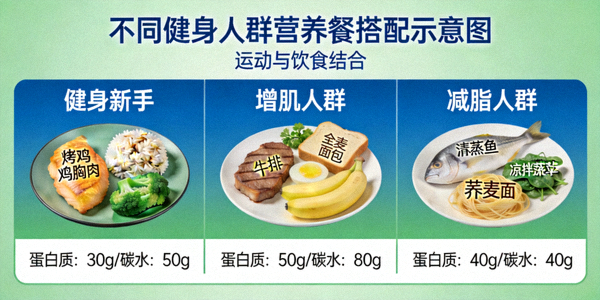 不同健身人群营养餐搭配示意图 - 运动与饮食结合